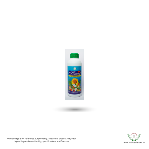 12  Humic Acid Powder