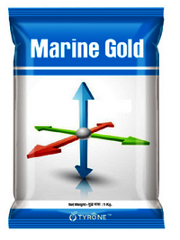 Marine Gold