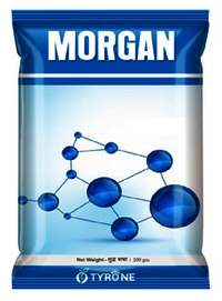 Morgan fungicide