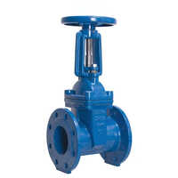 Blue Rising Stem Gate Valve