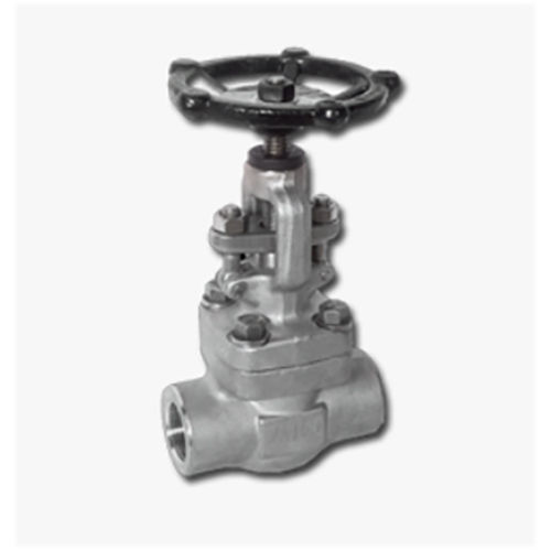 Forged SS Globe Valve