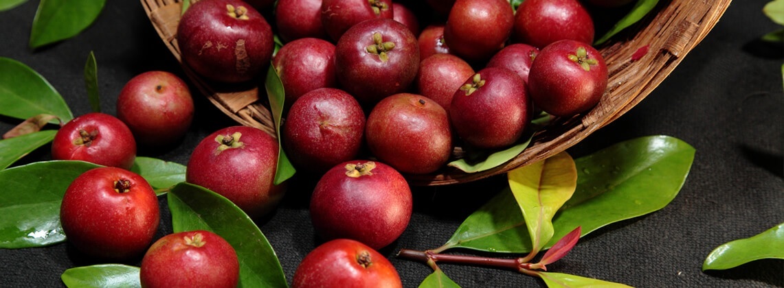 Kokum Butter 