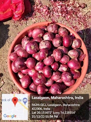 fresh red onion