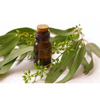 Chinese Eucalyptus Oil Purity: 100%