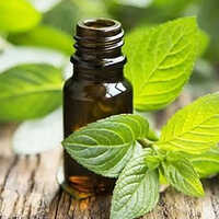Isomenthone Oil Age Group: All Age Group