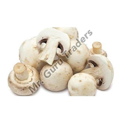 Natural Fresh Mushroom