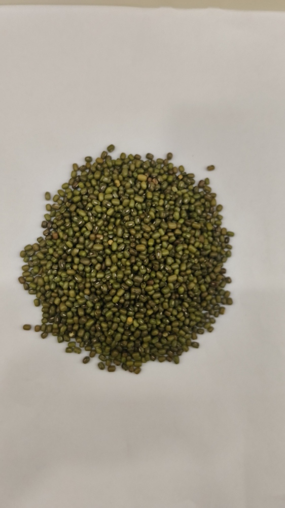 Organic Moong Whole (Green Gram)