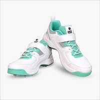 White And Green Dsc Cricket Shoes