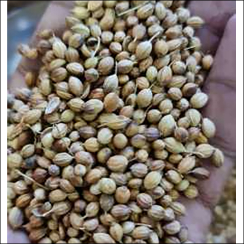 Egal Coriander Seeds