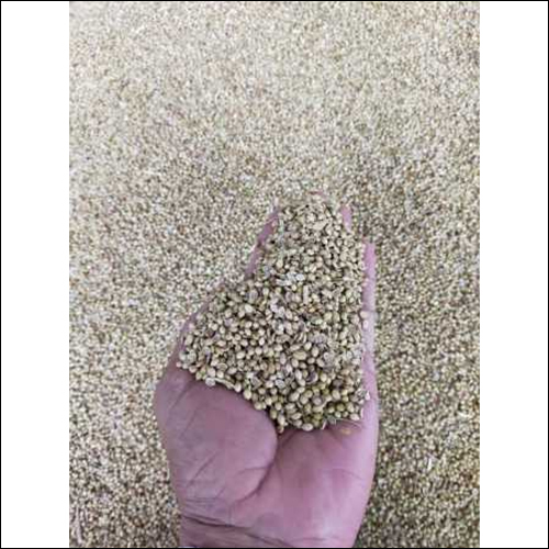 Green Millets