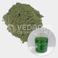 Green Kelp Seaweed Extract Powder