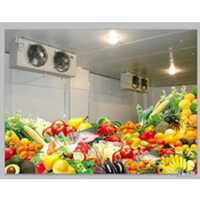 Fruit Cold Storage Room