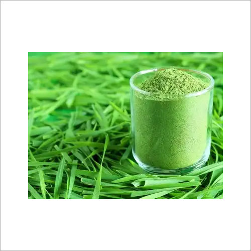 Wheat Grass Powder Age Group: Suitable For All Ages