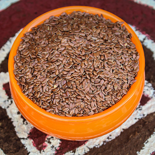 Flax Seed