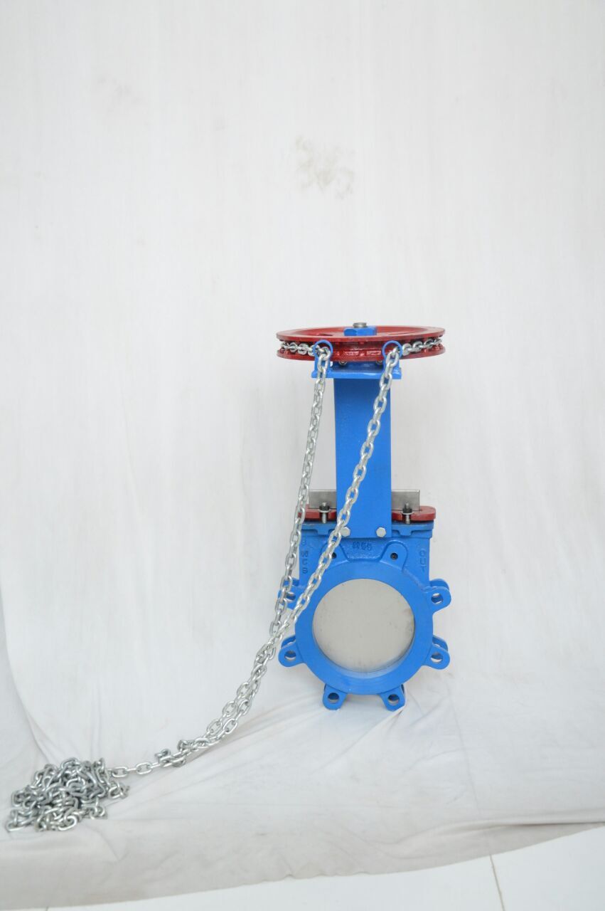 Knife Edge Gate Valve