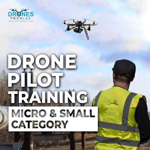 Micro and Small Category Drone Pilot Training