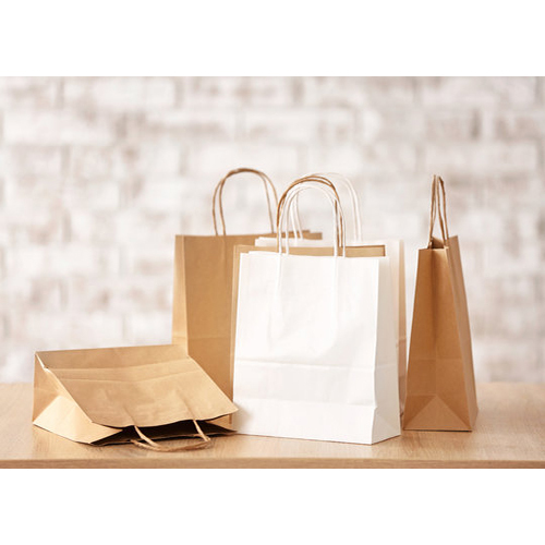 Retail Shopping Paper Bag