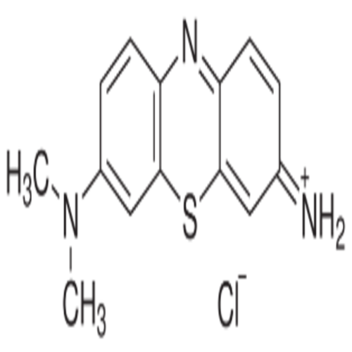 Giemsa Stain