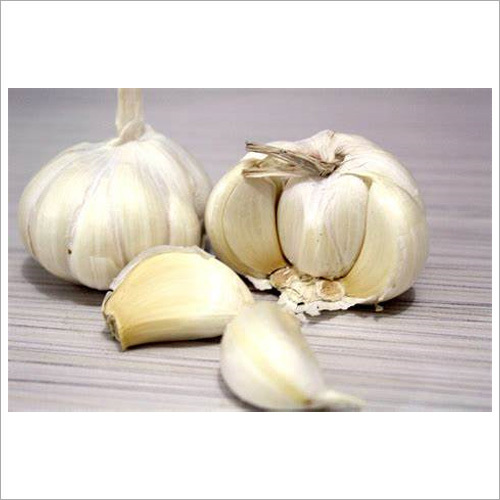 Fresh Garlic
