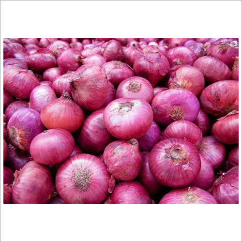 Fresh Onion