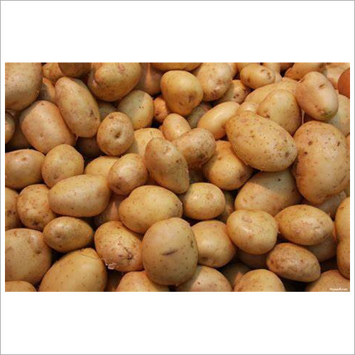 Fresh Potato