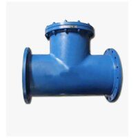 Flanged Strainers