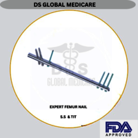 Expert Femur Nail