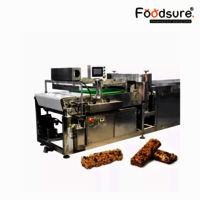 Protien Bar Processing Plant