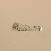 Campro Camouflage Ghillie Suit