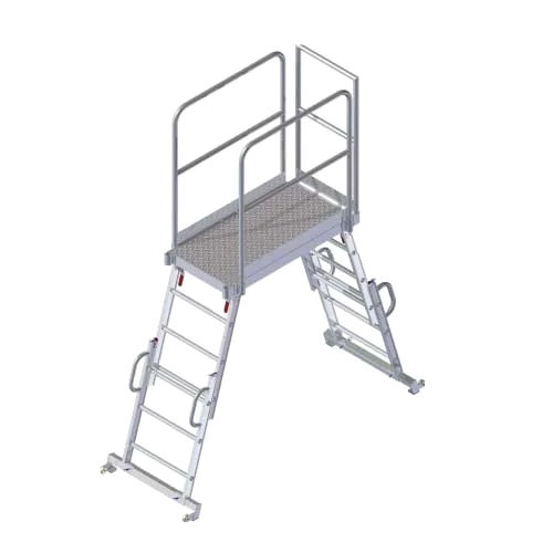8 Meter Specialized Platform Ladder