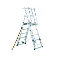 Aluminium Telescopic Work Platforms Size: Different Size