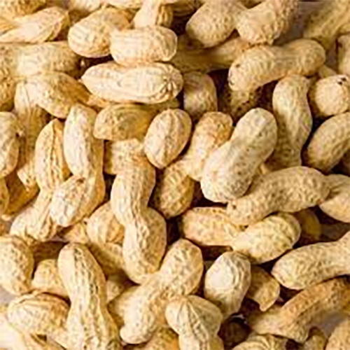 Dried Peanuts