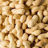 Dried Peanut
