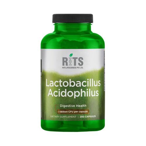 Lactobacillus Acidophilus