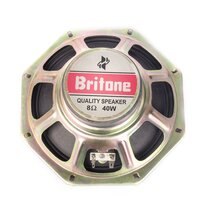 8 Inch Octagon Speaker 90x36x17 Magnet 8 Ohms 40 Watts RMS Power