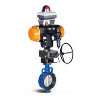 Stainless Steel Rubber Lined Butterfly Valve