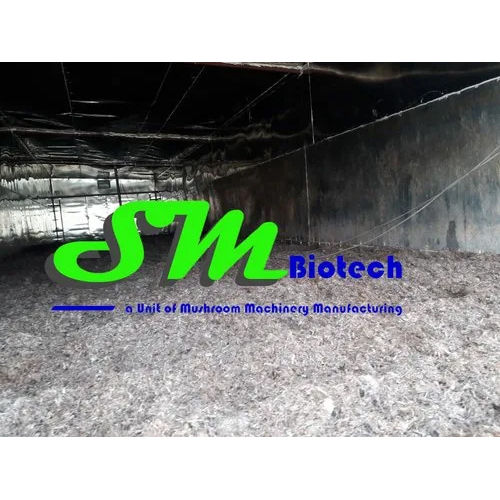 Button Mushroom Farming Consultancy Service