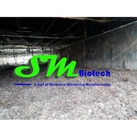 Button Mushroom Farming Consultancy Service