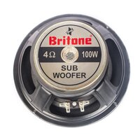 8 Inch Subwoofer 120x57x20 Magnet 8 Ohms 100 Watts RMS Power