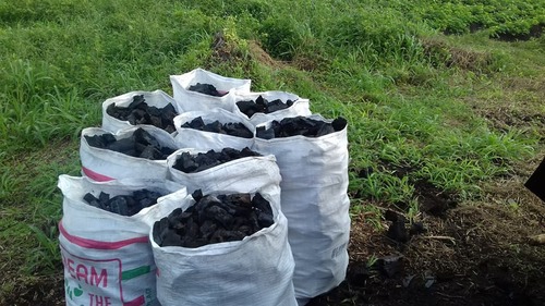 High Quality briquette BBQ charcoal and shisha charcoal