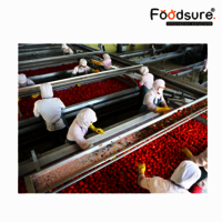 Tomato Processing Lines