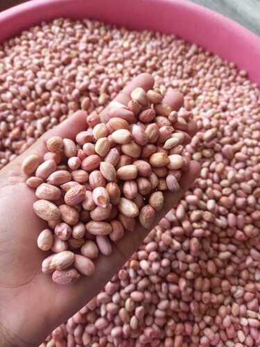 Organic Peanut/ Groundnut Seeds
