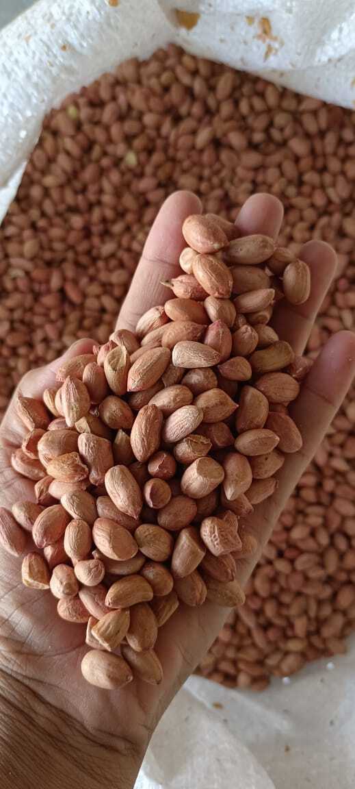 Organic Peanut/ Groundnut Seeds