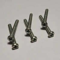 Silver Pan Head B Type Long Screw
