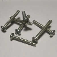 Silver Pan Head Slot B Type Long Screw