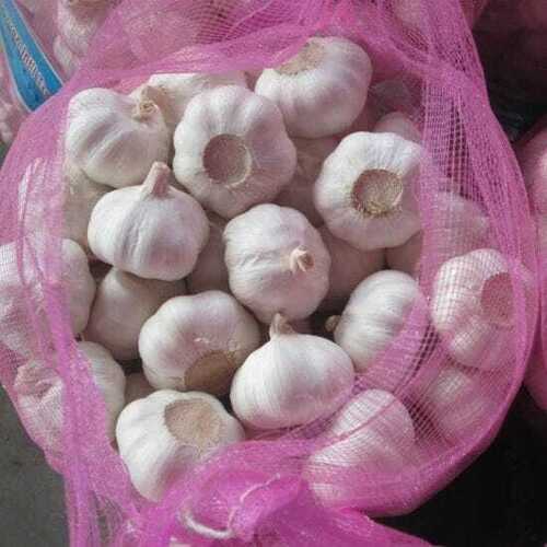 New Crop High Quality Fresh Normal White Garlic Purple Garlic Red Garlic