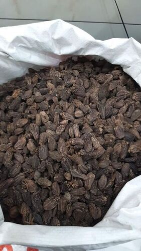 green cardamom wholesalers Fresh Green Cardamom
