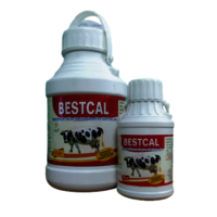 Bestcal - High Strength Liquid Calcium Suspension For Livestock , Enhanced Milk Production, Bone Strength, And Immunity Boost