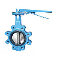 Blue Lug Butterfly Valve