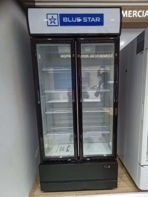 Blue star visi cooler best sale double door